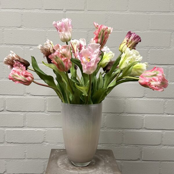 Parkiet tulp - kunst