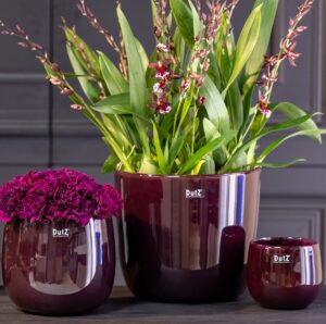 DutZ pot wide plum handgemaakt zeist