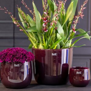 DutZ pot wide plum handgemaakt zeist