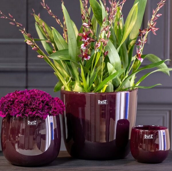 DutZ pot wide plum handgemaakt zeist